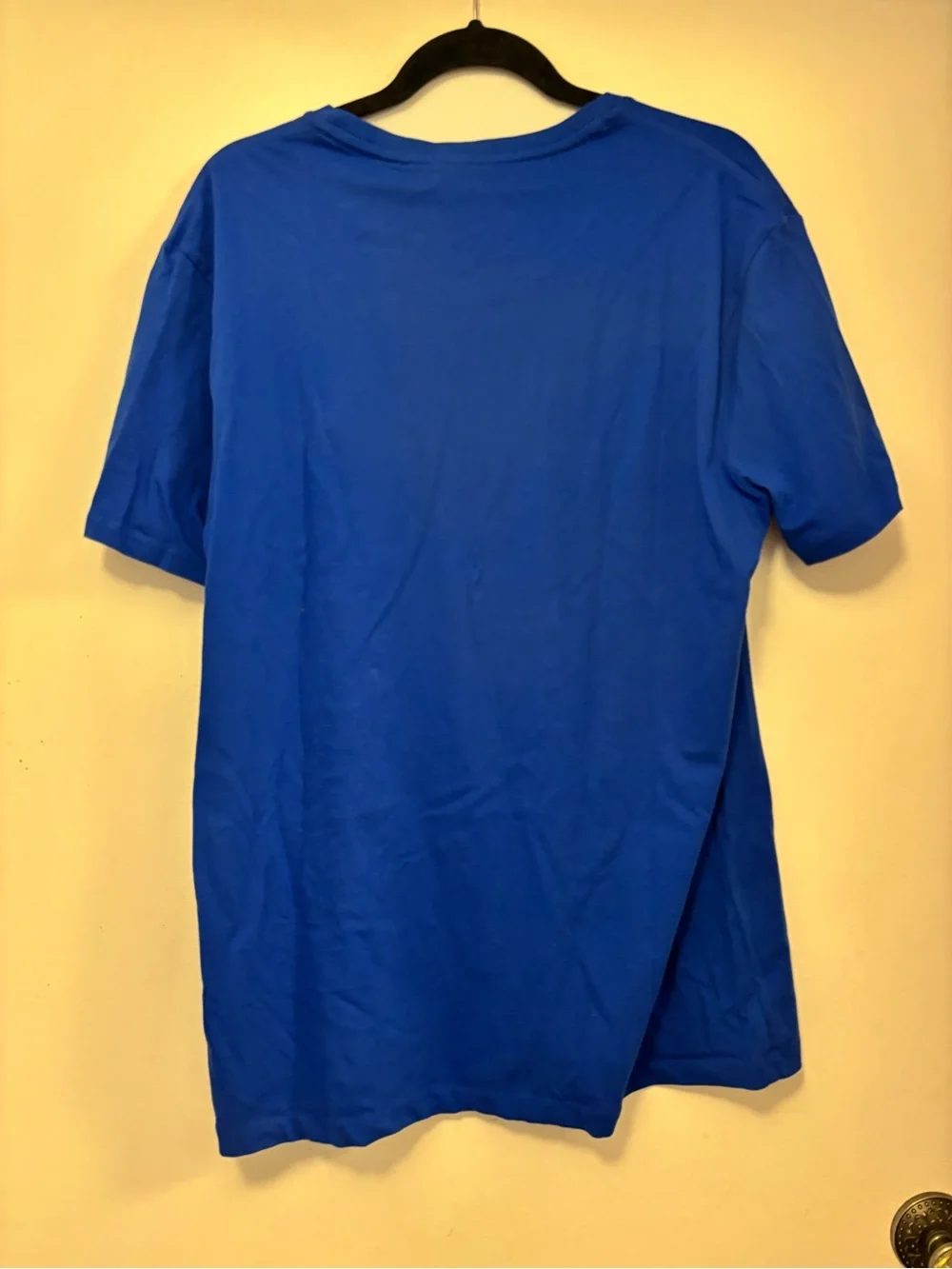 Polo by Ralph Lauren Men's Blue Polo Bear Graphic Tee skiing New L